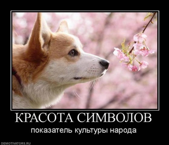 http://cs4574.vkontakte.ru/u16920598/42166413/x_605b6051.jpg